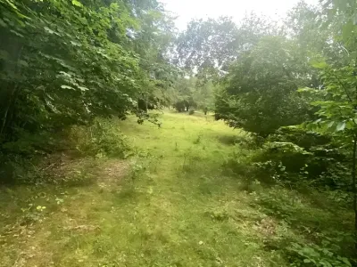 Teren intravilan vanzare Breaza de Sus Prahova verdeata